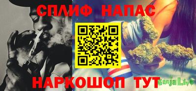 крисы Донской
