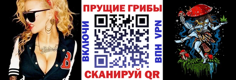 где можно купить   Минеральные Воды  Галлюциногенные грибы Magic Shrooms 