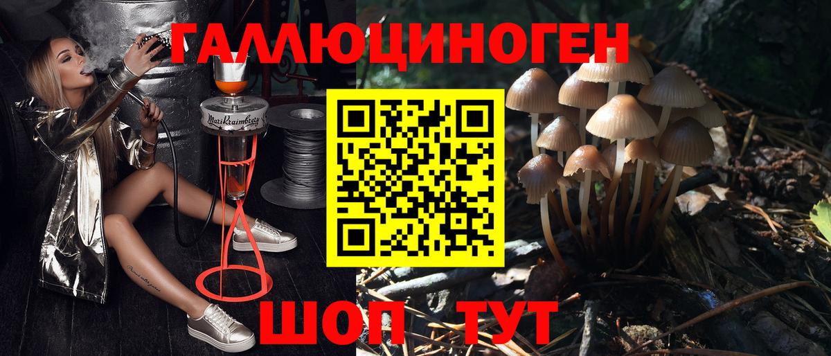 Галлюциногенные грибы мухоморы  Псилоцибиновые грибы Magic Shrooms  Вход с VPN  Минеральные Воды 